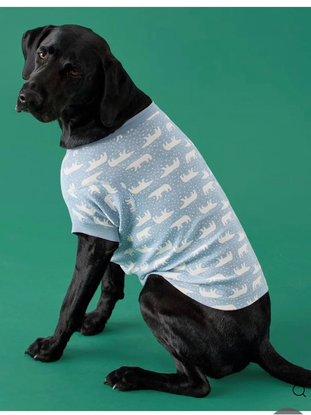 Hanna Andersson Light Blue Polar Bear Print Dog Tee NWT